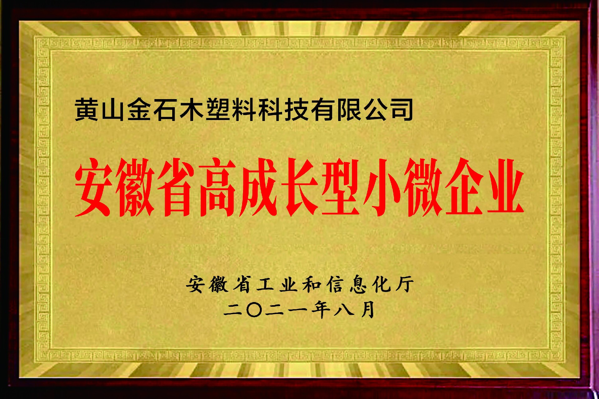 安徽省高成長型小微企業(yè).jpg